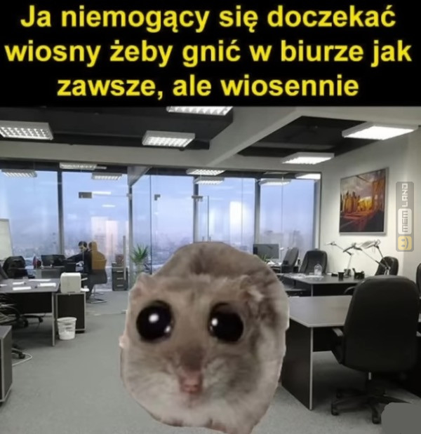 Śmieszny mem: 5582506 - MemLand