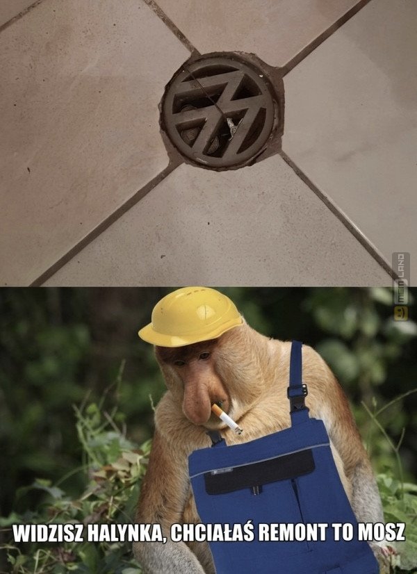 Śmieszny mem: 5588944 - MemLand