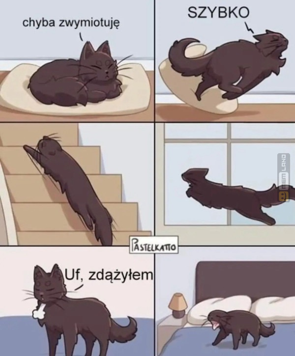 Śmieszny mem: 5592086 - MemLand