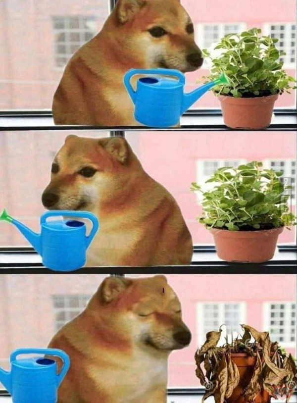 Śmieszny mem: 5593700 - MemLand