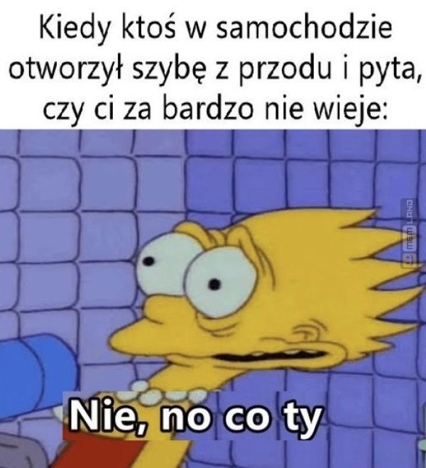 Śmieszny mem: 5596199 - MemLand