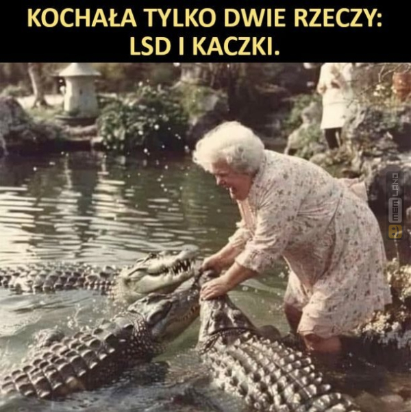 Śmieszny mem: 5601378 - MemLand