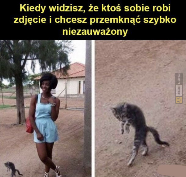 Śmieszny mem: 5604535 - MemLand