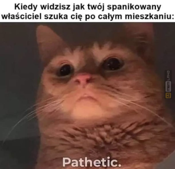 Śmieszny mem: 5614285 - MemLand