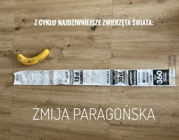 Śmieszny mem: 5617560 - MemLand