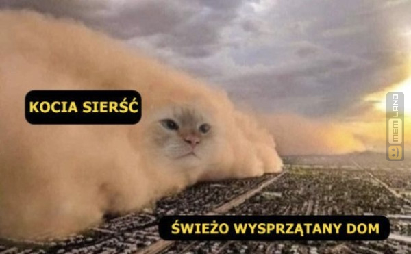 Śmieszny mem: 5626114 - MemLand