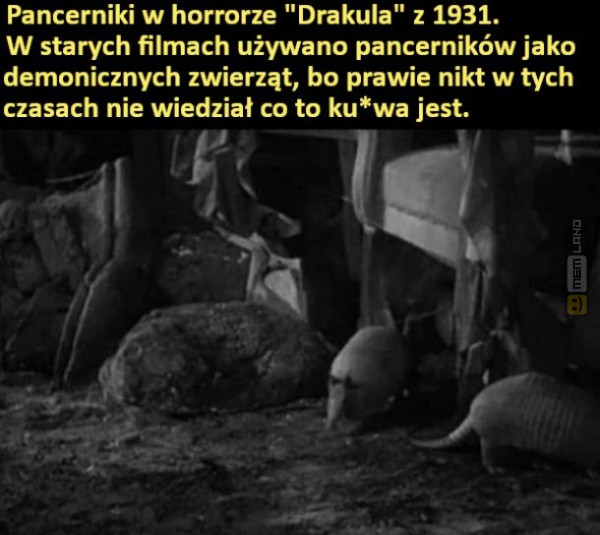 Śmieszny mem: 5627503 - MemLand