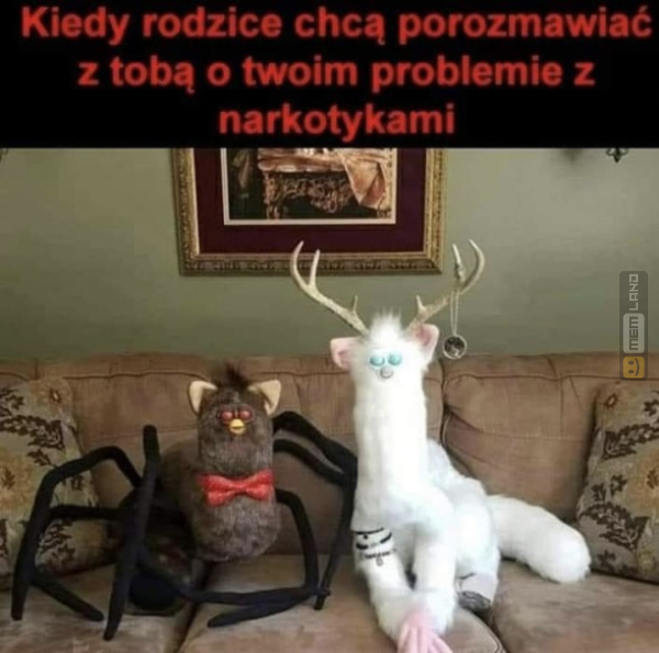 Śmieszny mem: 5634152 - MemLand