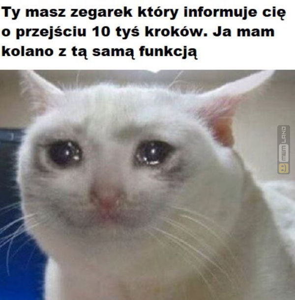 Śmieszny mem: 5636588 - MemLand
