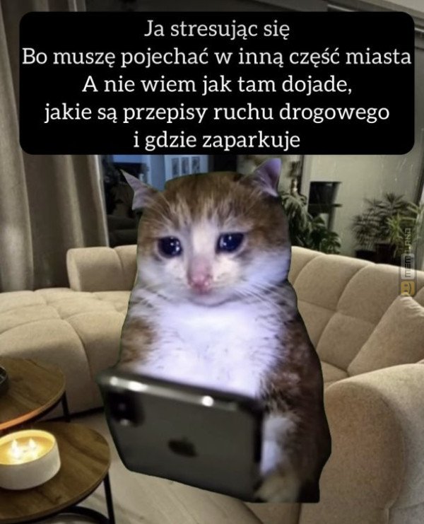 Śmieszny mem: 5639001 - MemLand