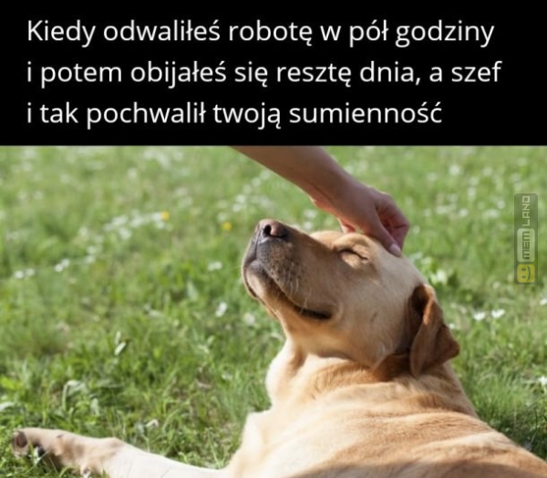 Śmieszny mem: 5639310 - MemLand