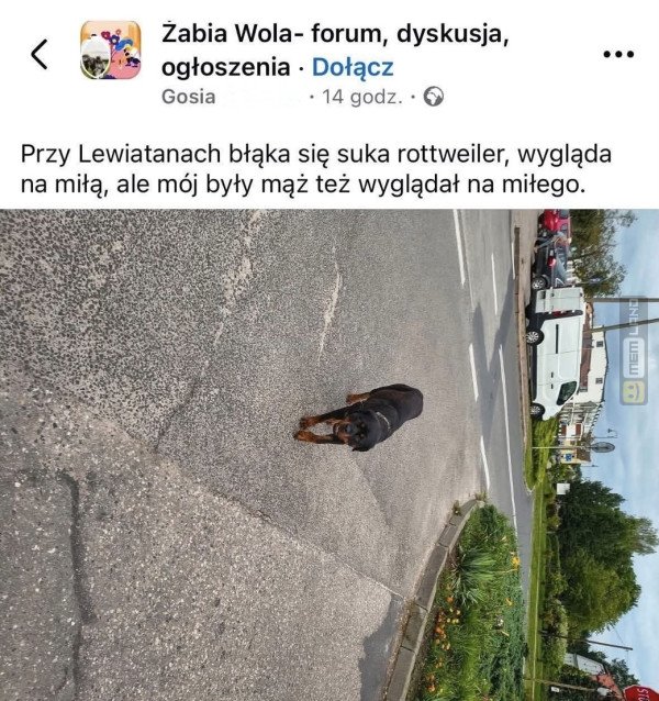 Śmieszny mem: 5651983 - MemLand