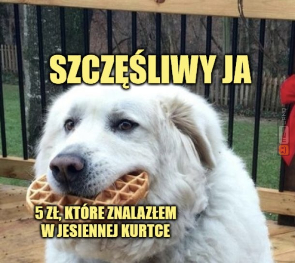 Śmieszny mem: 5658621 - MemLand