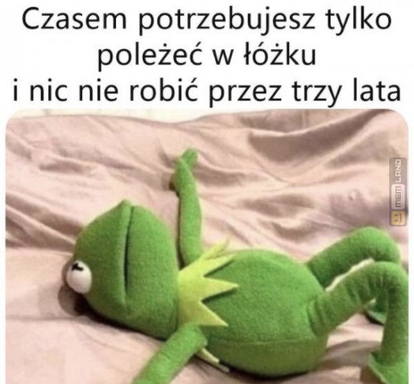 Śmieszny mem: 5685759 - MemLand