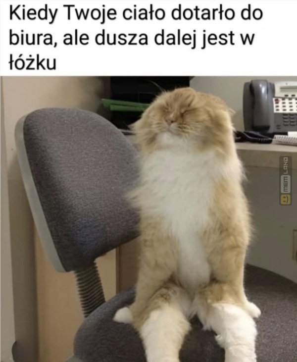 Śmieszny mem: 5686835 - MemLand