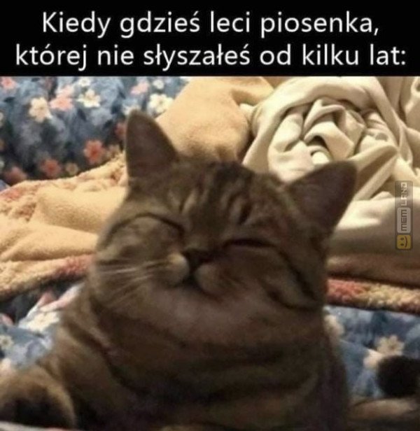 Śmieszny mem: 5687179 - MemLand