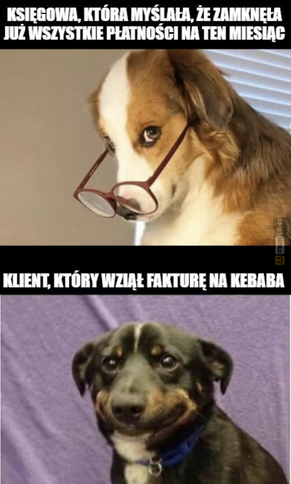 Śmieszny mem: 5694302 - MemLand