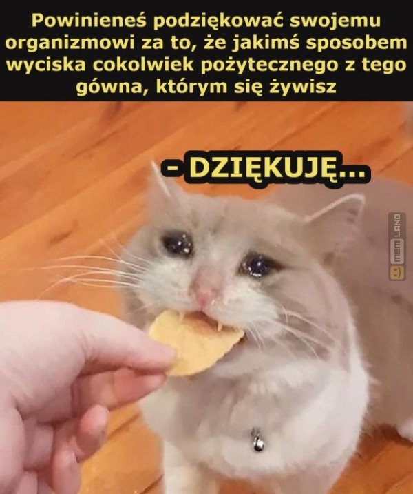 Śmieszny mem: 5698607 - MemLand