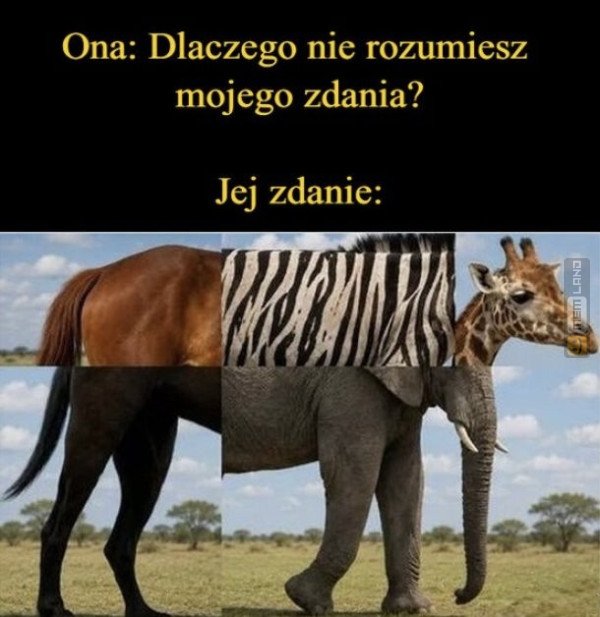 Śmieszny mem: 5701512 - MemLand