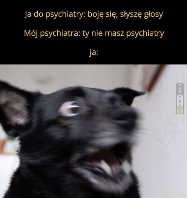 Śmieszny mem: 5717297 - MemLand