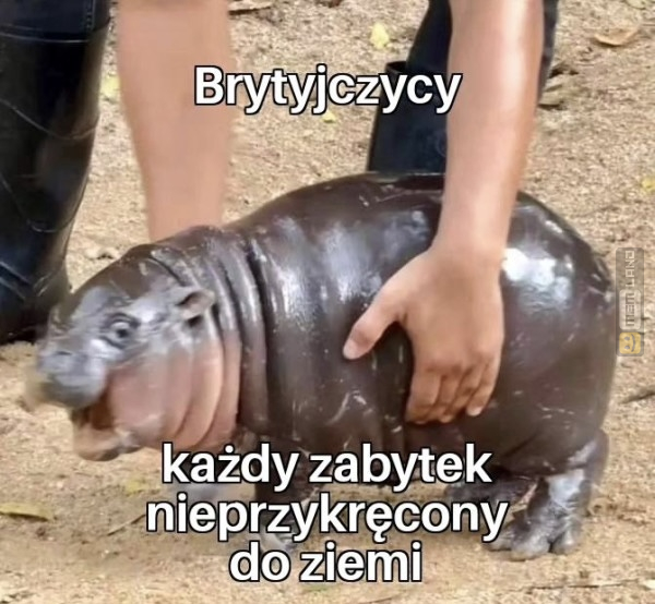 Śmieszny mem: 5719870 - MemLand