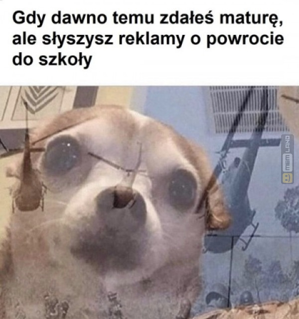 Śmieszny mem: 5723014 - MemLand