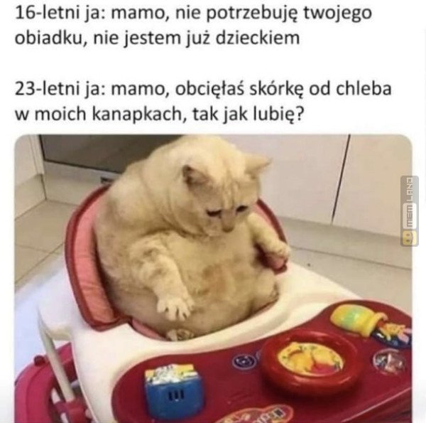 Śmieszny mem: 5730958 - MemLand