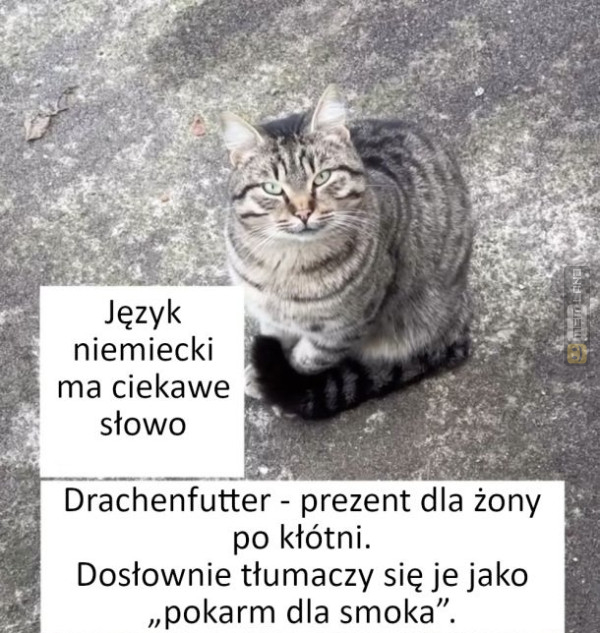 Śmieszny mem: 5732138 - MemLand