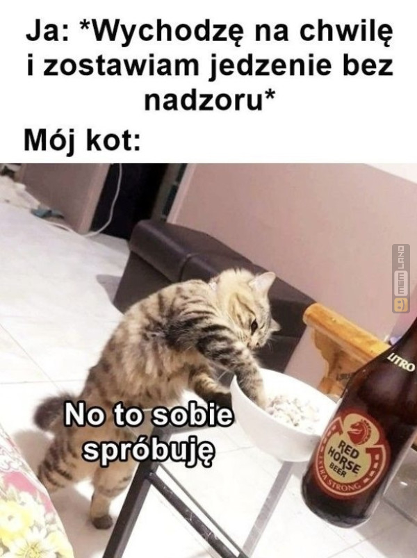 Śmieszny mem: 5744060 - MemLand