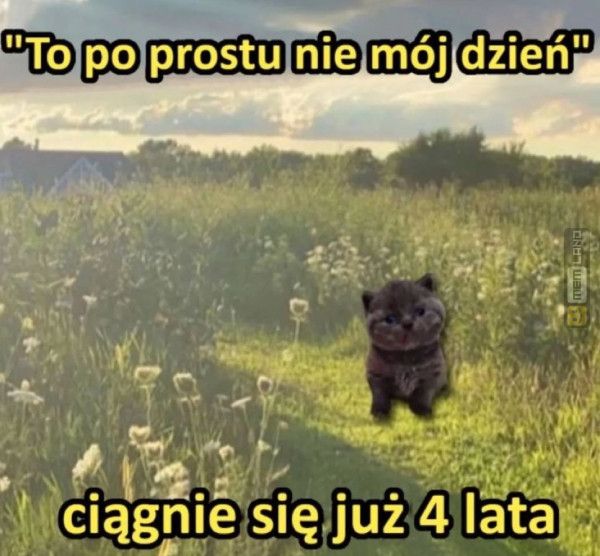 Śmieszny mem: 5746789 - MemLand