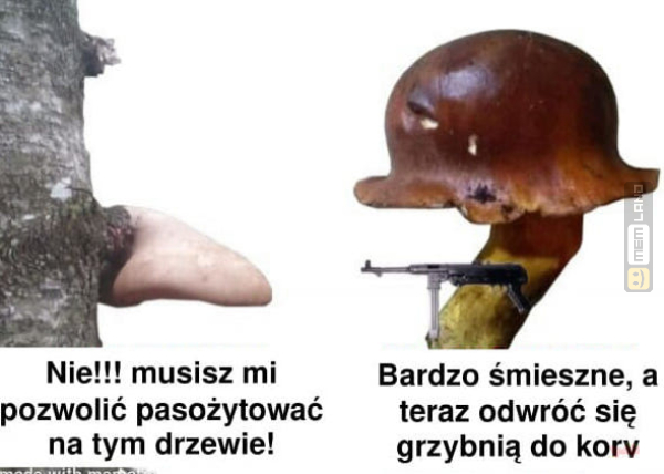 Śmieszny mem: 5748379 - MemLand