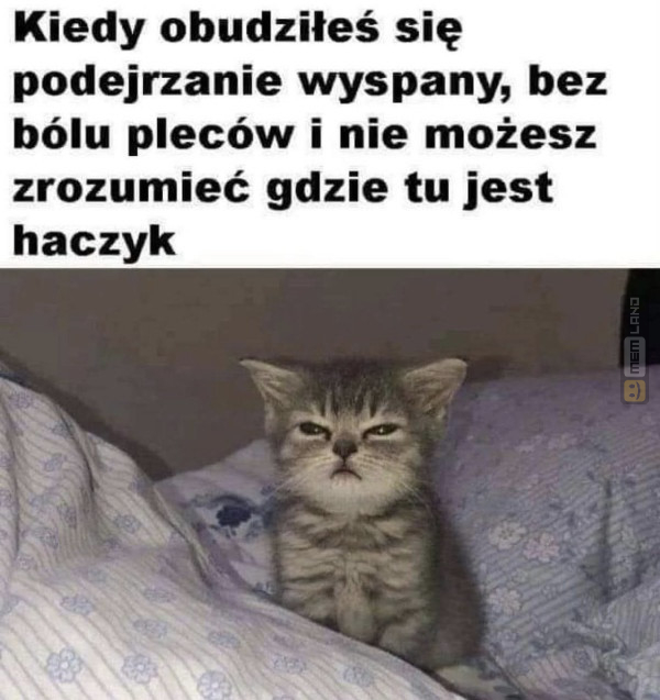 Śmieszny mem: 5757816 - MemLand