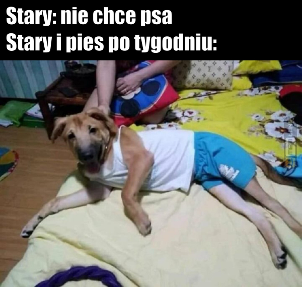 Śmieszny mem: 5769889 - MemLand