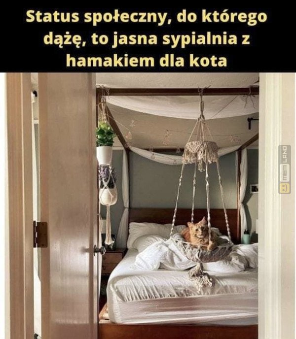 Śmieszny mem: 5777596 - MemLand