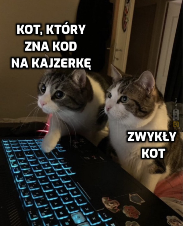 Śmieszny mem: 5780091 - MemLand