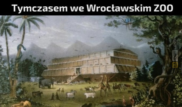 Śmieszny mem: 5785621 - MemLand