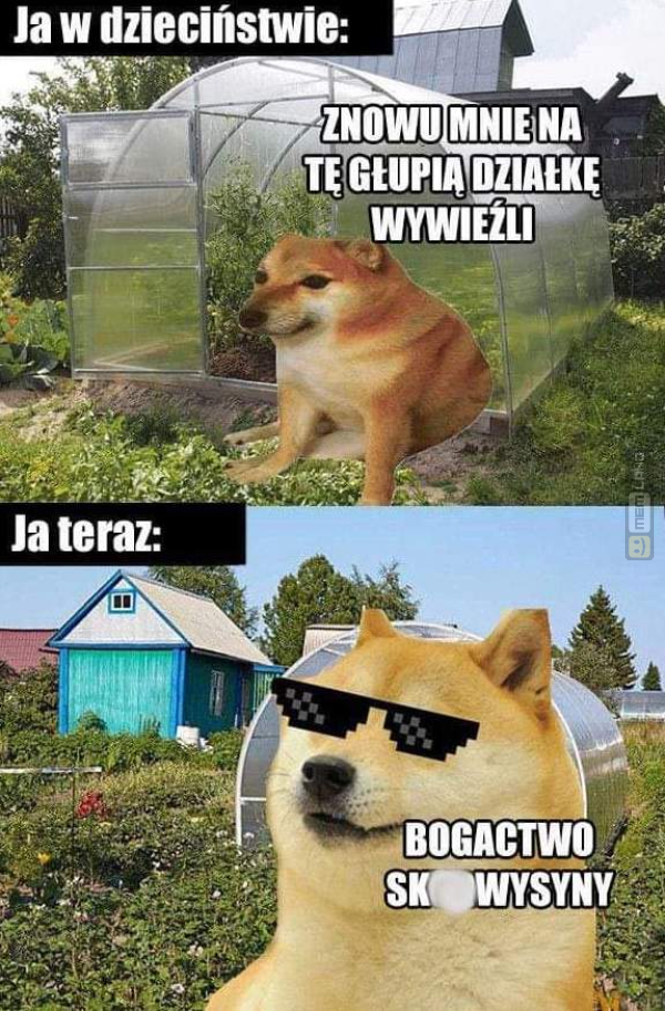 Śmieszny mem: 5786883 - MemLand