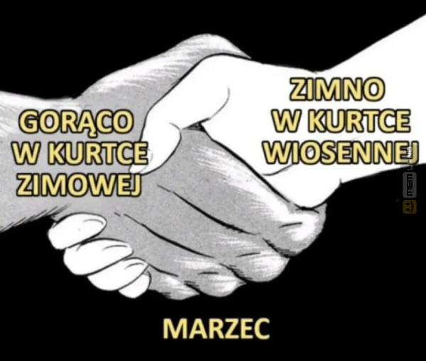 Śmieszny mem: 5789994 - MemLand