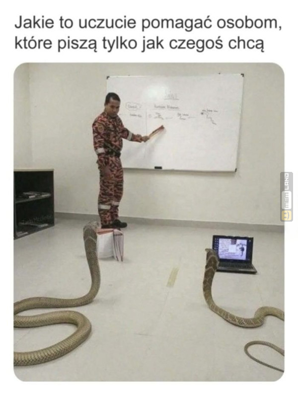 Śmieszny mem: 5794335 - MemLand