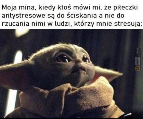 Śmieszny mem: 5798053 - MemLand