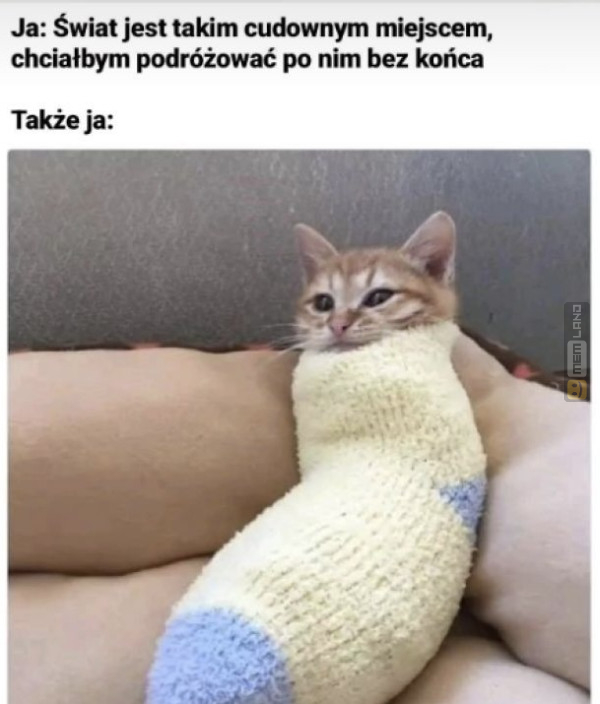 Śmieszny mem: 5800337 - MemLand