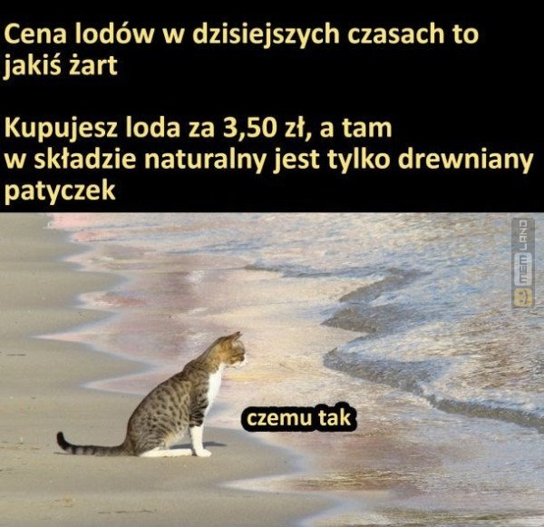 Śmieszny mem: 5811387 - MemLand