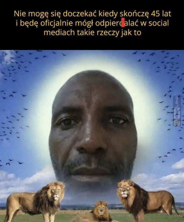 Śmieszny mem: 5820008 - MemLand