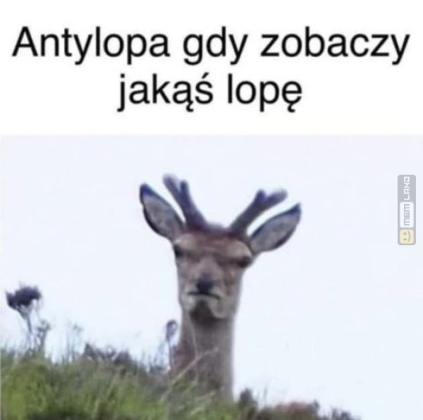 Śmieszny mem: 5830471 - MemLand