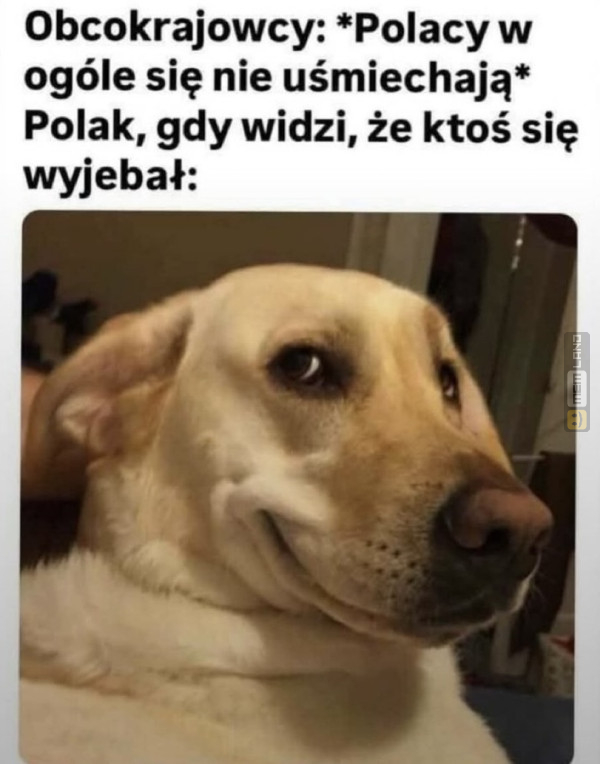 Śmieszny mem: 5830500 - MemLand