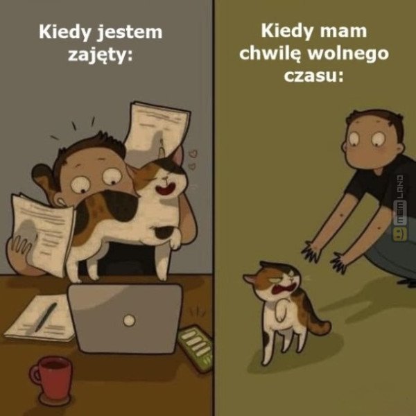 Śmieszny mem: 5839044 - MemLand