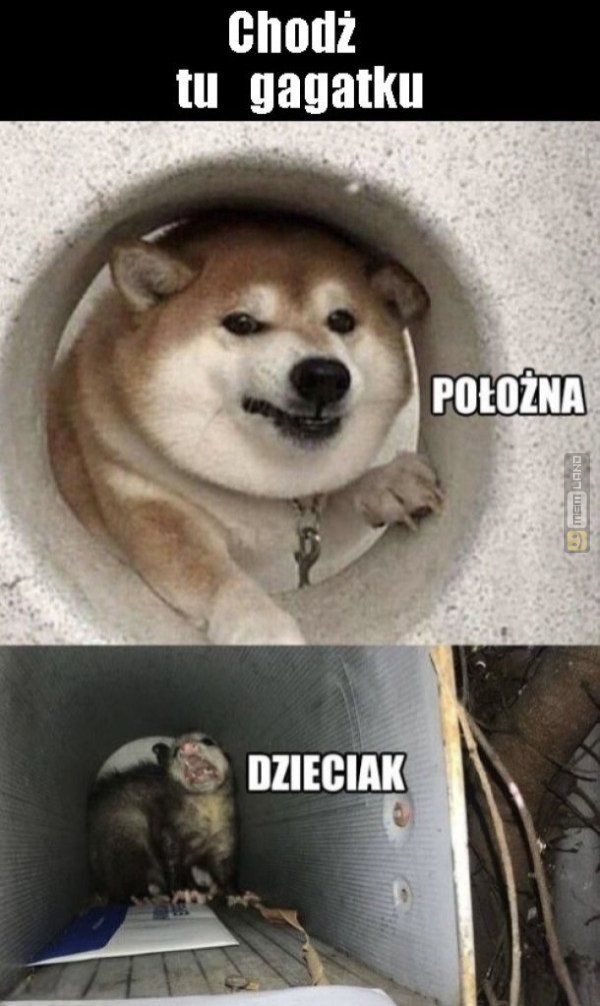 Śmieszny mem: 5855945 - MemLand