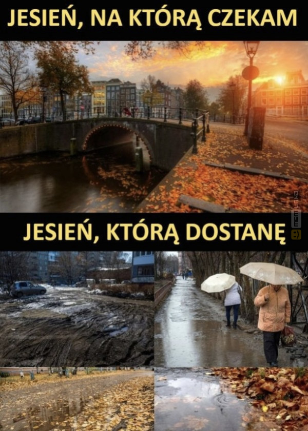 Śmieszny mem: 5863702 - MemLand