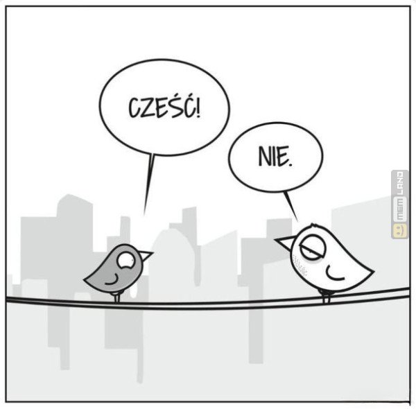 Śmieszny mem: 5866262 - MemLand