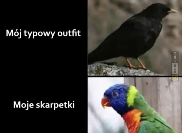 Śmieszny mem: 5877181 - MemLand